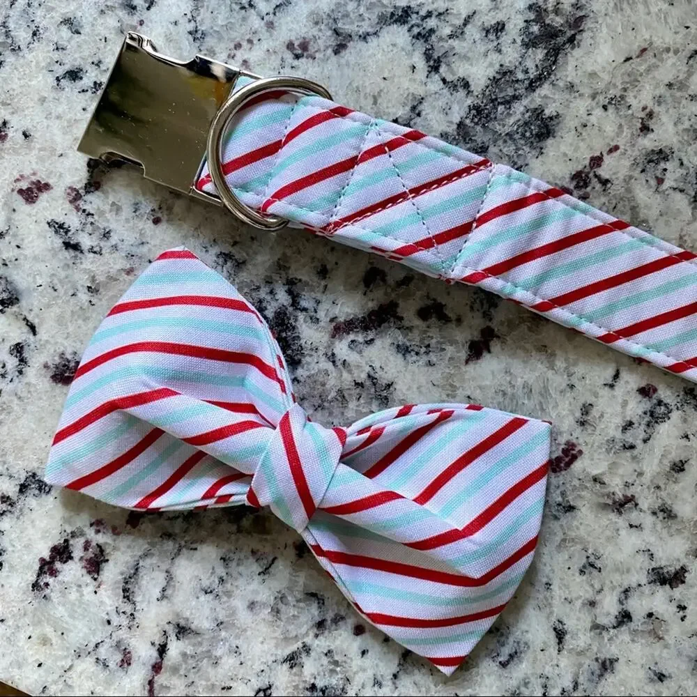 NWT • Red + Mint Striped Dog Bow + Collar